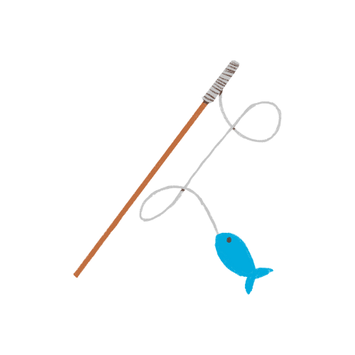 supplies